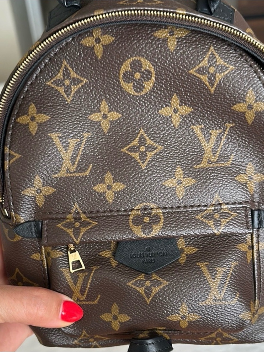 Louis Vuitton Monogram Palm Springs Mini